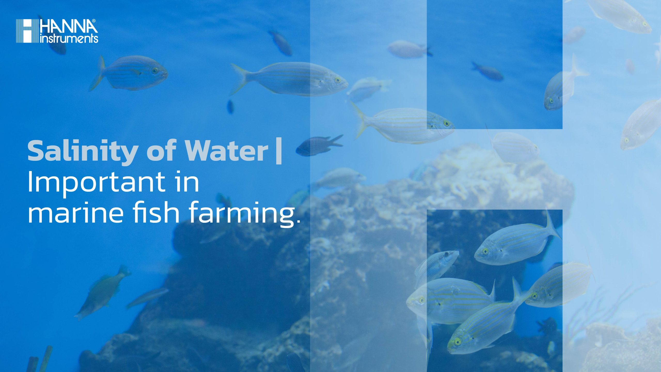 Salinity of Water | Important in marine fish farming.